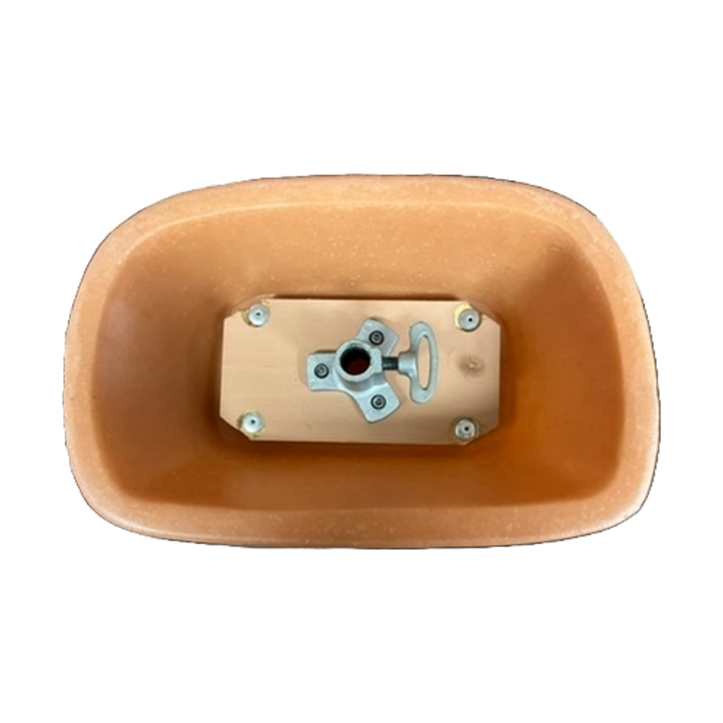 Display Men's Mannequin Torso (FOR PICKUP ONLY)